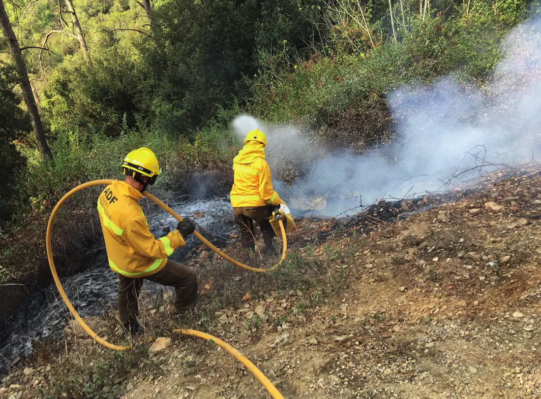 Equip d'una ADF sufocant un foc de sotabosc